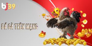 Tìm hiểu về hình thức đá gà trên mạng