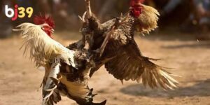 Cách thức phân định thắng/thua