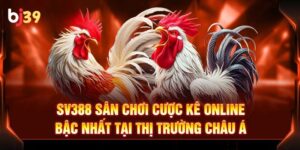 Đôi nét về SV388 đá gà tốt nhất Việt Nam