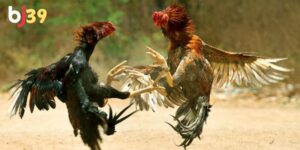 Hình ảnh sắc nét, âm thanh có độ trễ thấp