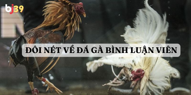 đá gà bình luận viên Giới thiệu đôi nét về đá gà bình luận viên