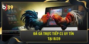 Đá gà trực tiếp C1