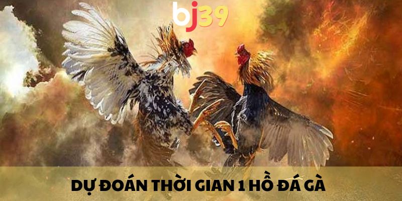 Dự đoán thời gian 1 hồ đá gà bao nhiêu phút